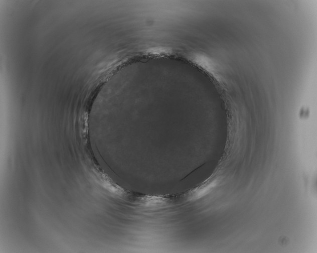 X0000093460528200710261023