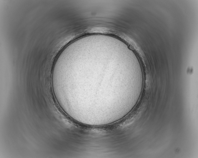 X0000093460529200710261022