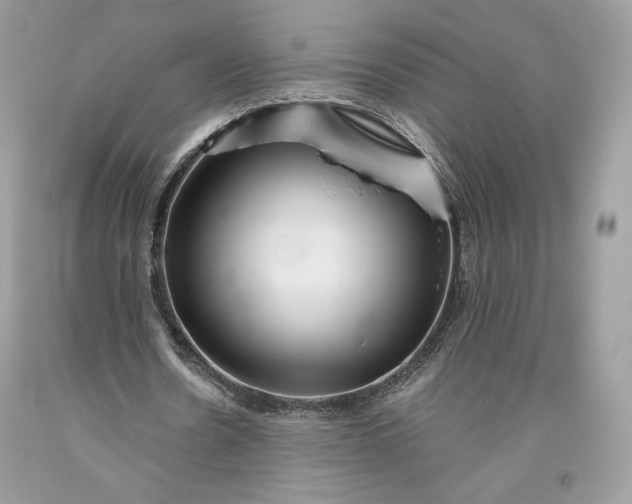 X0000093460530200710261022