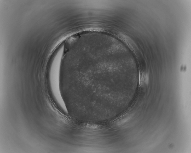 X0000093460531200710261022