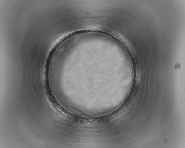 X0000093460532200710261022