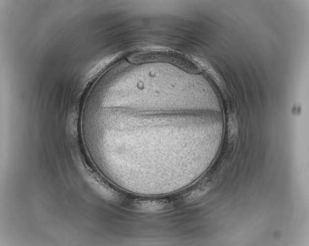 X0000093460533200710261022