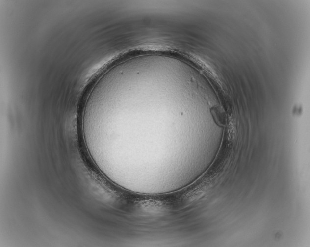 X0000093460535200710261023