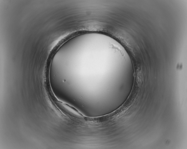 X0000093460536200710261023