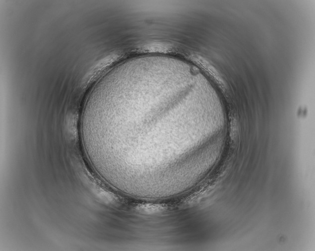 X0000093460537200710261023