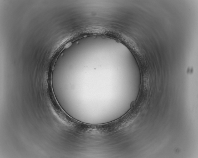 X0000093460538200710261023