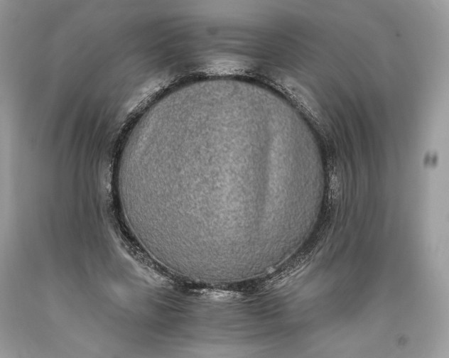 X0000093460539200710261023