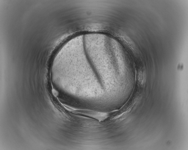 X0000093460540200710261023