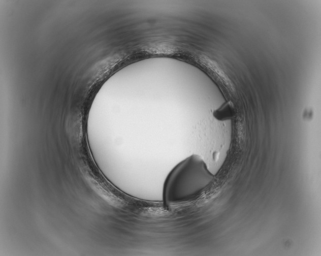 X0000093460541200710261023