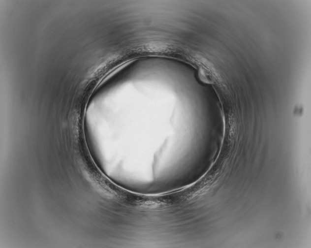 X0000093460542200710261023