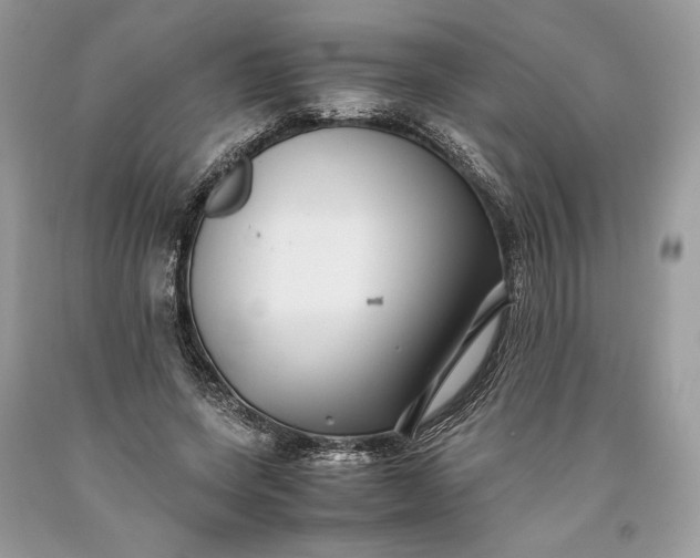 X0000093460543200710261023