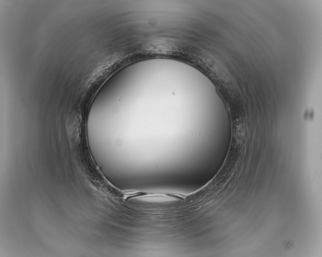 X0000093460544200710261023