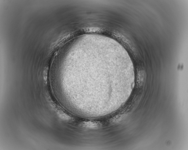 X0000093460545200710261023