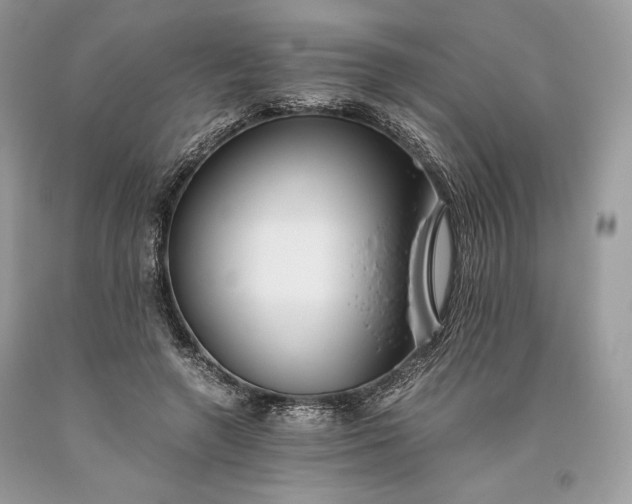 X0000093460546200710261023