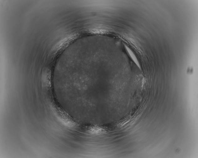 X0000093460547200710261023