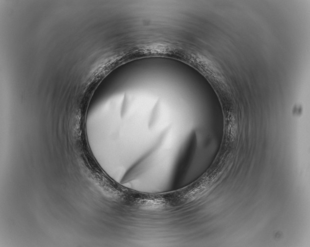 X0000093460548200710261023