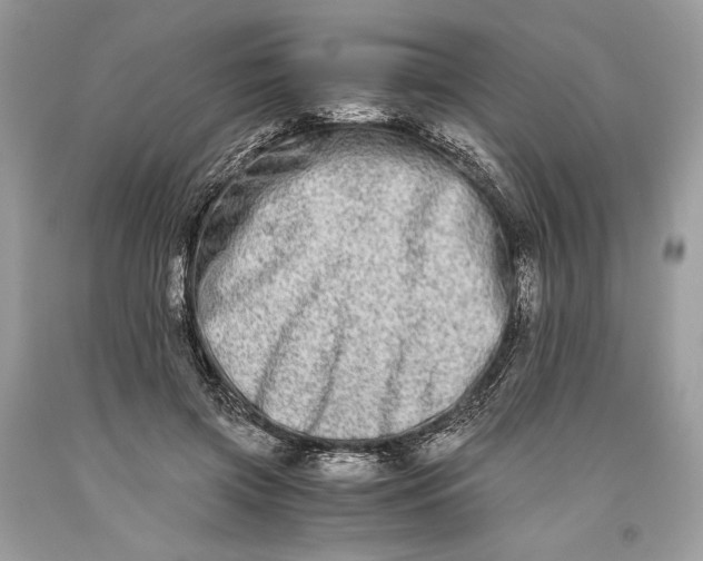 X0000093460549200710261023