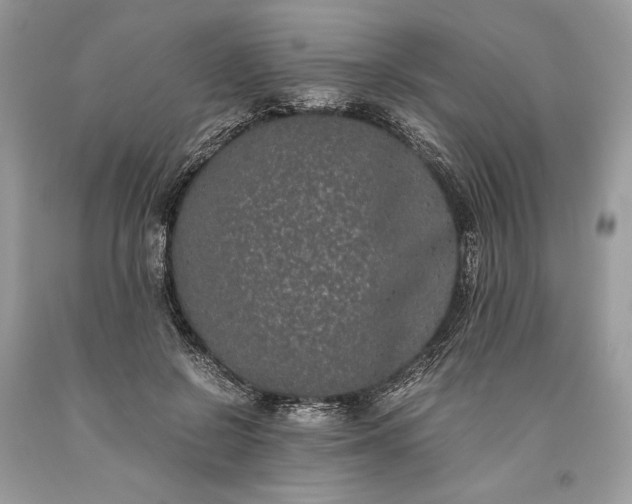 X0000093460550200710261023