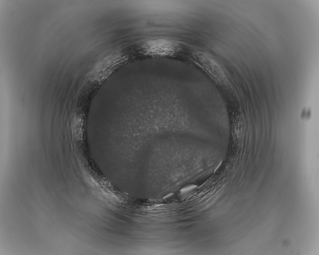 X0000093460551200710261023