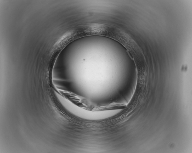 X0000093460552200710261023