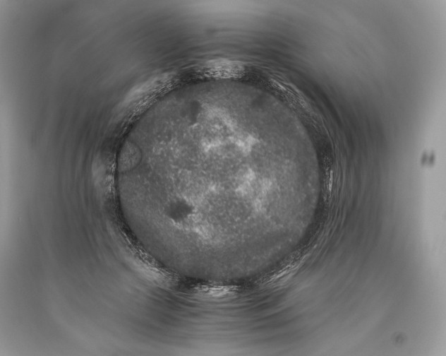 X0000093460553200710261023