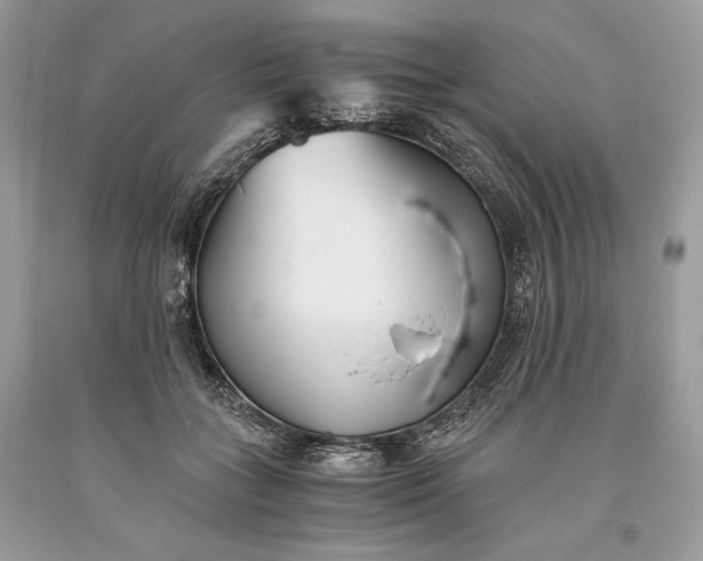 X0000093460555200710261023