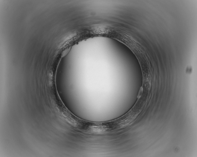 X0000093460556200710261023