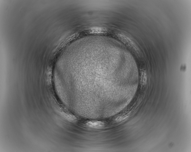 X0000093460557200710261023