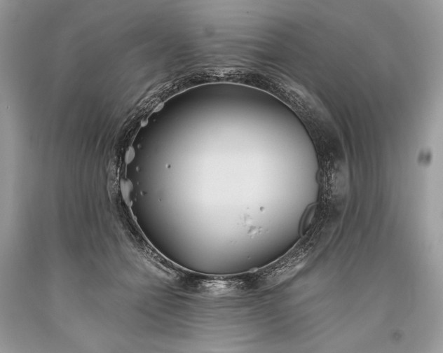 X0000093460558200710261023