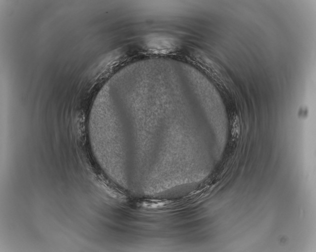 X0000093460559200710261023