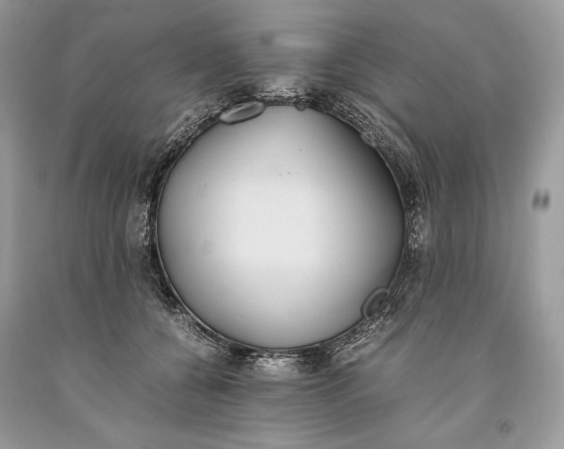 X0000093460560200710261023