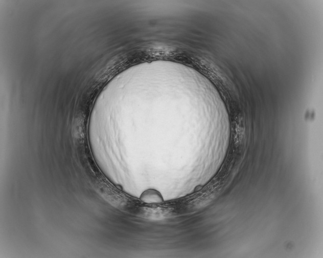 X0000093460561200710261023