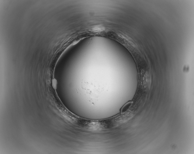 X0000093460562200710261023