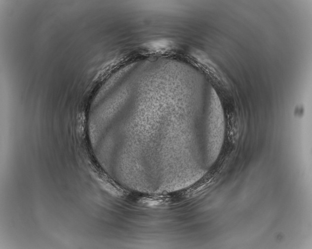 X0000093460563200710261023