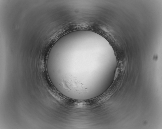 X0000093460564200710261023