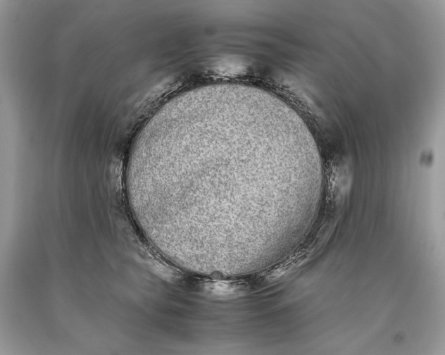 X0000093460565200710261023