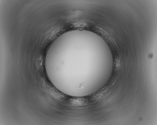 X0000093460567200710261023