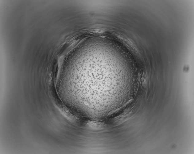 X0000093460568200710261023