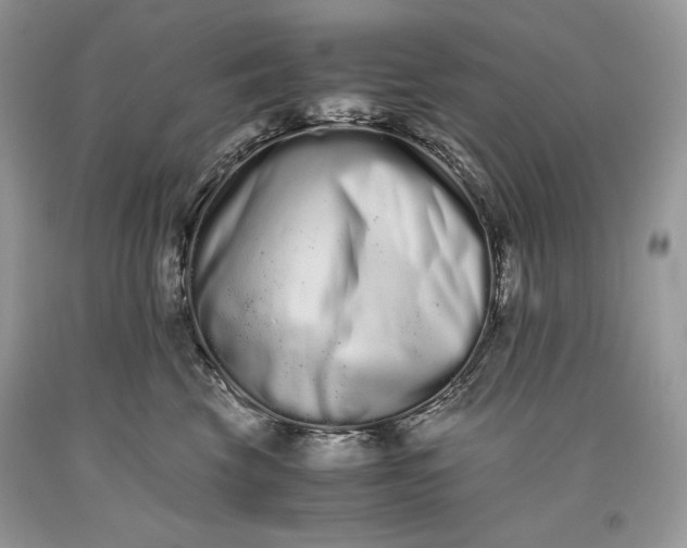 X0000093460569200710261023