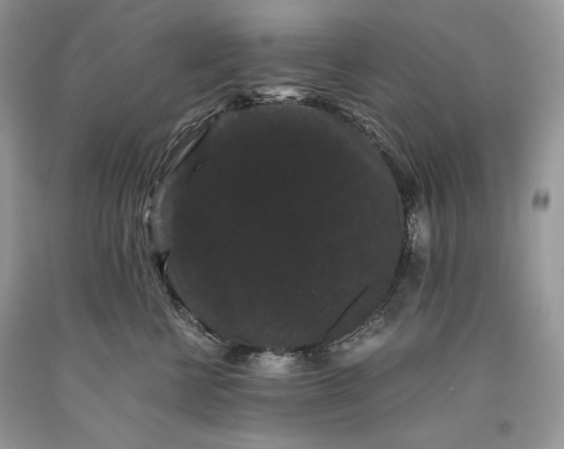 X0000093460570200710261023