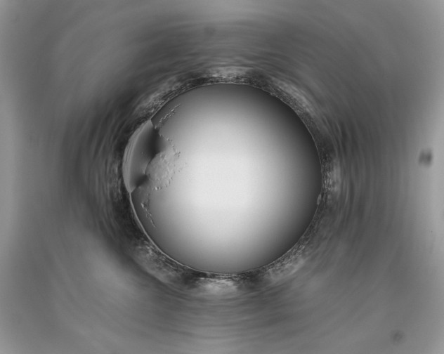 X0000093460572200710261023