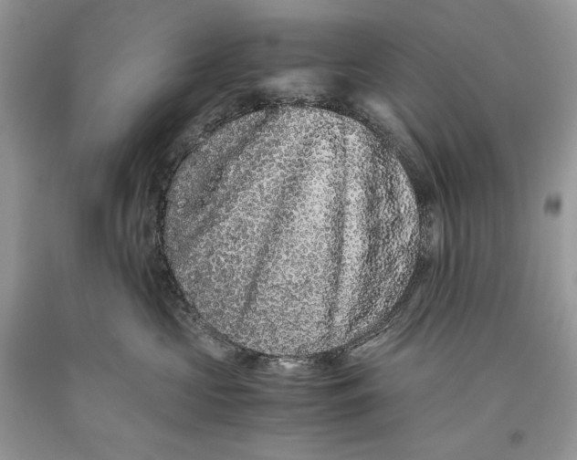 X0000093460573200710261023