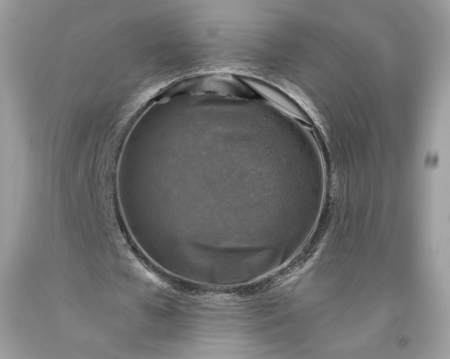 X0000093460577200710261022