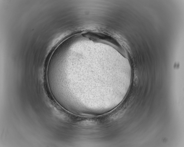 X0000093460578200710261022