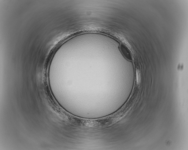 X0000093460579200710261022