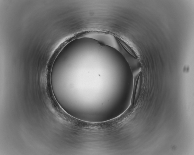 X0000093460580200710261022