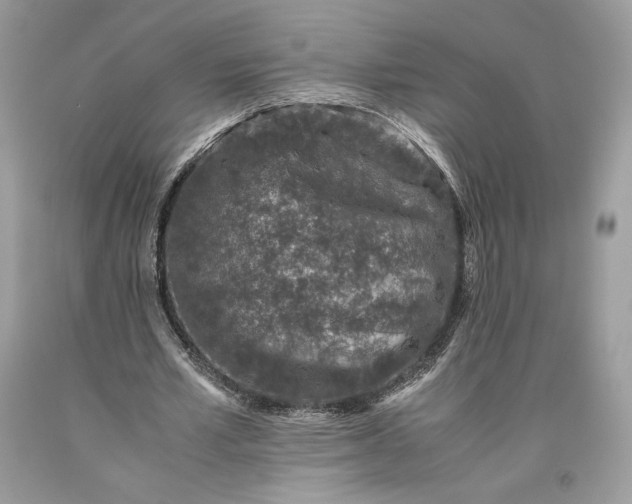 X0000093460581200710261022