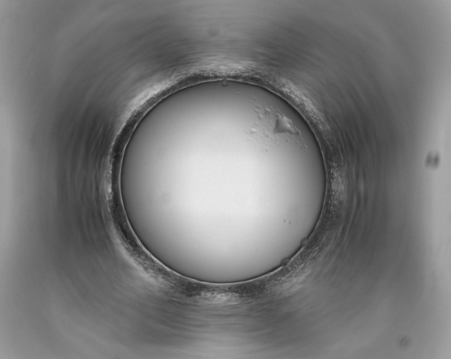 X0000093460582200710261022