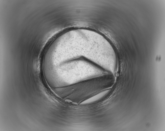 X0000093460584200710261022