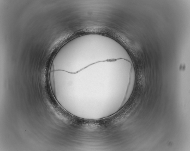 X0000093460586200710261022